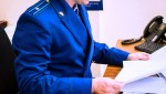 После прокурорской проверки Очерским лесничеством устранены нарушения при предоставлении гражданам лесных насаждений для собственных нужд